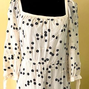 Beautiful sheer Rebecca Taylor dress